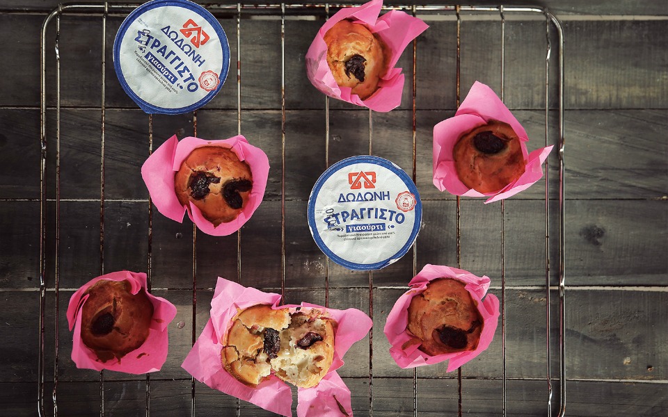 Νέο site από τη γαλακτοβιομηχανία ΔΩΔΩΝΗ-1