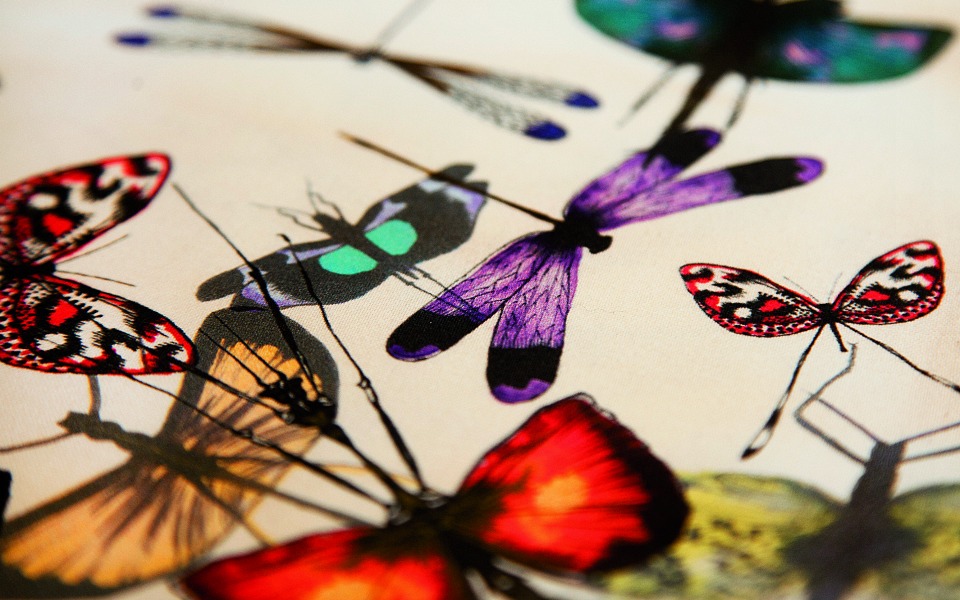 Ό,τι καινούργιο-3