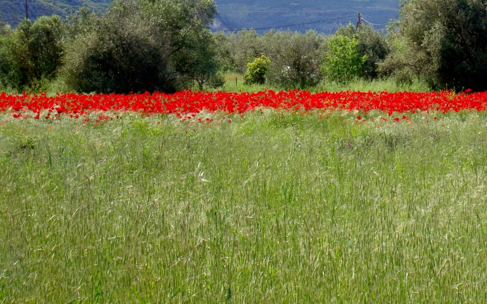 Φωτο-αντανακλάσεις-1