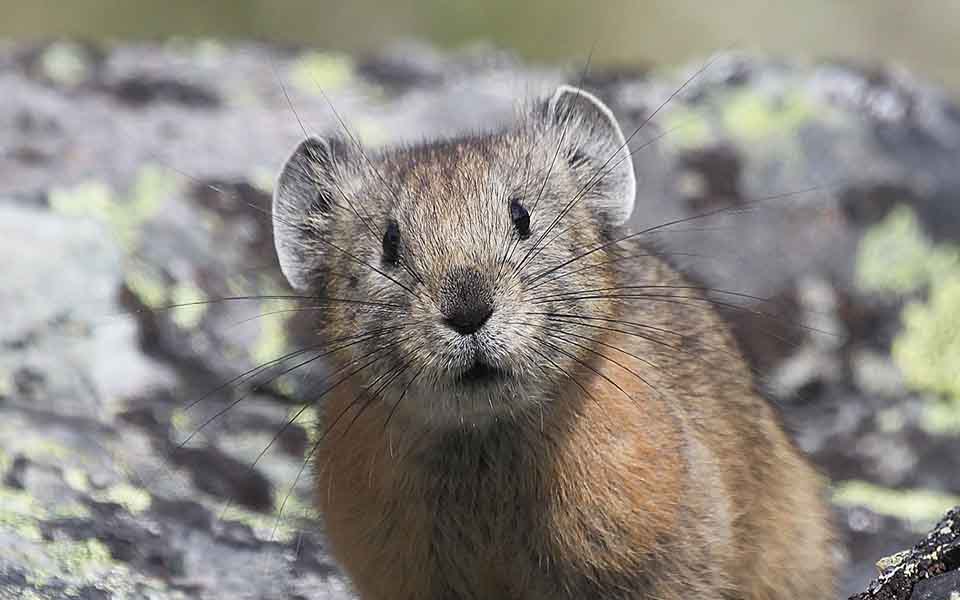 Τοκ, τοκ… Ο Σεπτέμβρης χτυπάει την πόρτα-8
