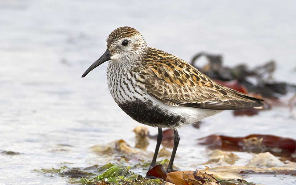 Τοκ, τοκ… Ο Σεπτέμβρης χτυπάει την πόρτα-1
