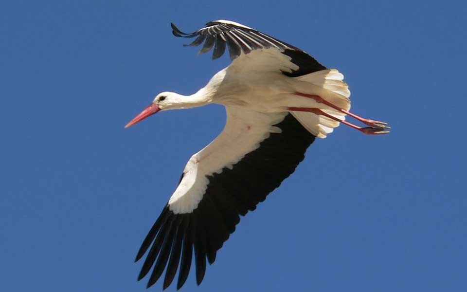 Τοκ, τοκ… Ο Σεπτέμβρης χτυπάει την πόρτα-3