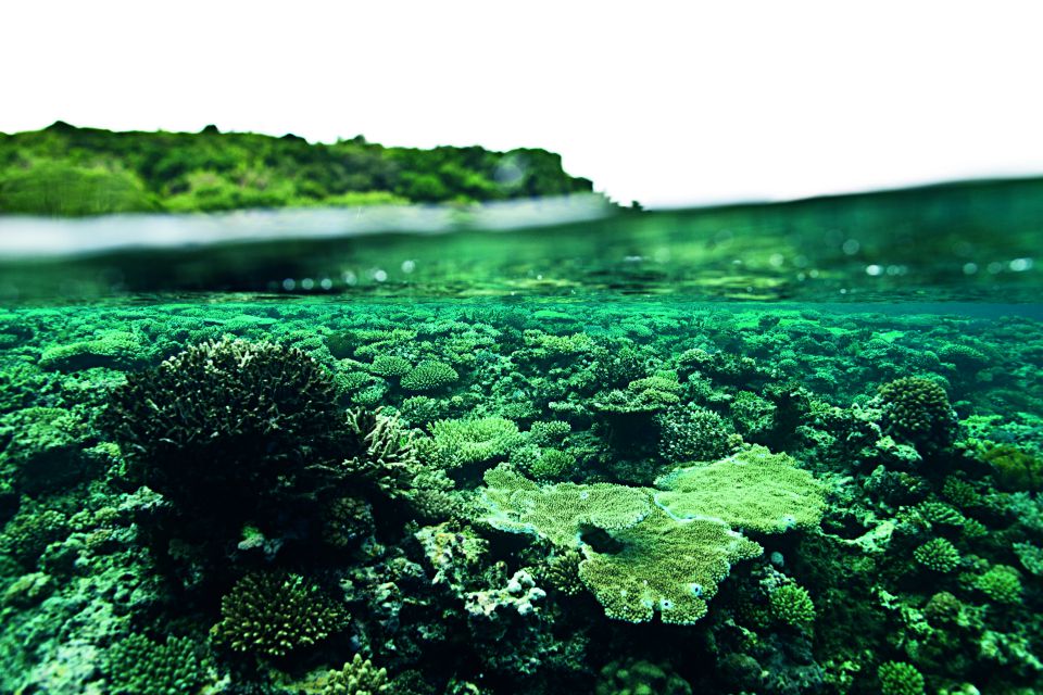 Το μεγάλο πέρασμα-4