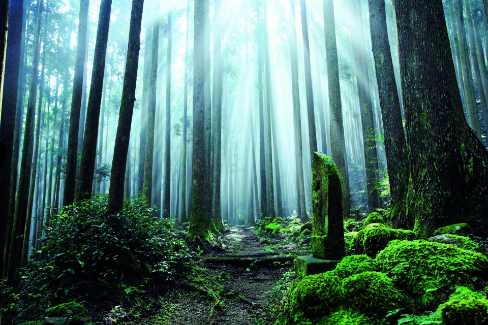 Αλλαγή εποχής-6