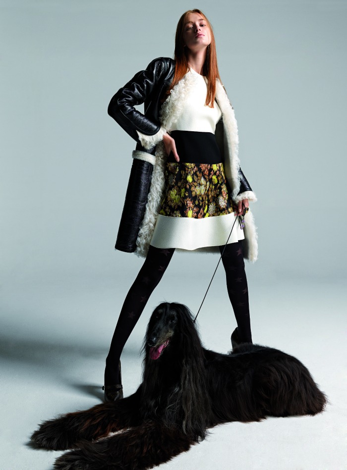 Fashion: Dog day afternoon-1