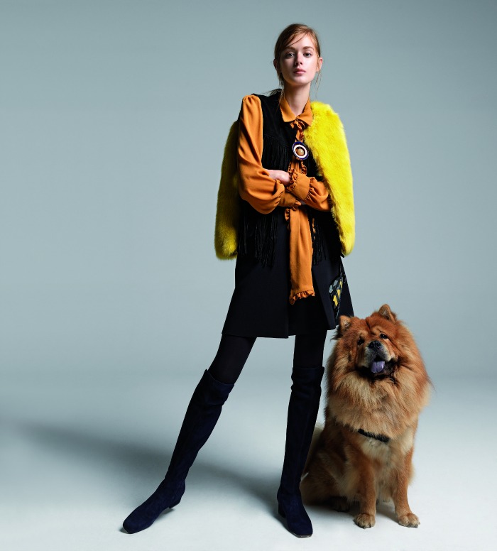 Fashion: Dog day afternoon-3