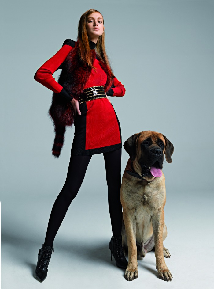 Fashion: Dog day afternoon-7