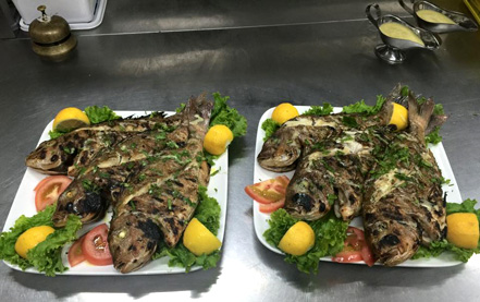 Ελληνικόν γευσιπωλείον-1