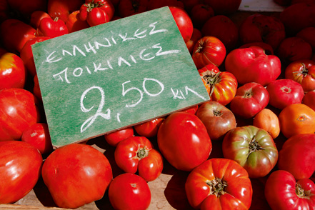 Μαΐστρος Καραμπάσης: «Δεν μπορώ να περιγράψω τη χαρά μου την ώρα της συγκομιδής»-1