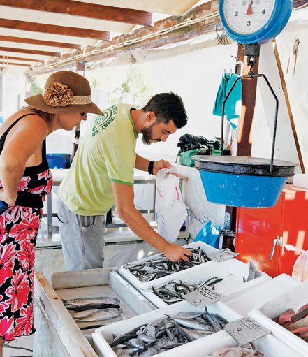 Ψάρια μόλιs αλιευμένα-1