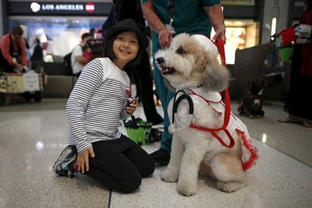 Ζητείται τετράποδος υπάλληλος-1