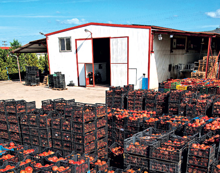 Ρόδια με… μέλλον-1