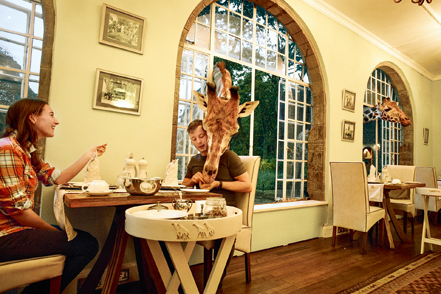 Γευματίζοντας με μια καμηλοπάρδαλη-1