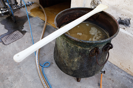 Ξίδι από Ασύρτικο-2