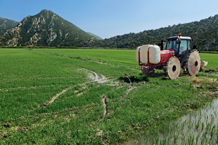 Αχελώος: Τα εύγευστα ρύζια της οικογένειας Πανουκλιά-1