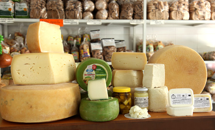 Η Κρήτη του ζεύγους Αλυγιζάκη-2