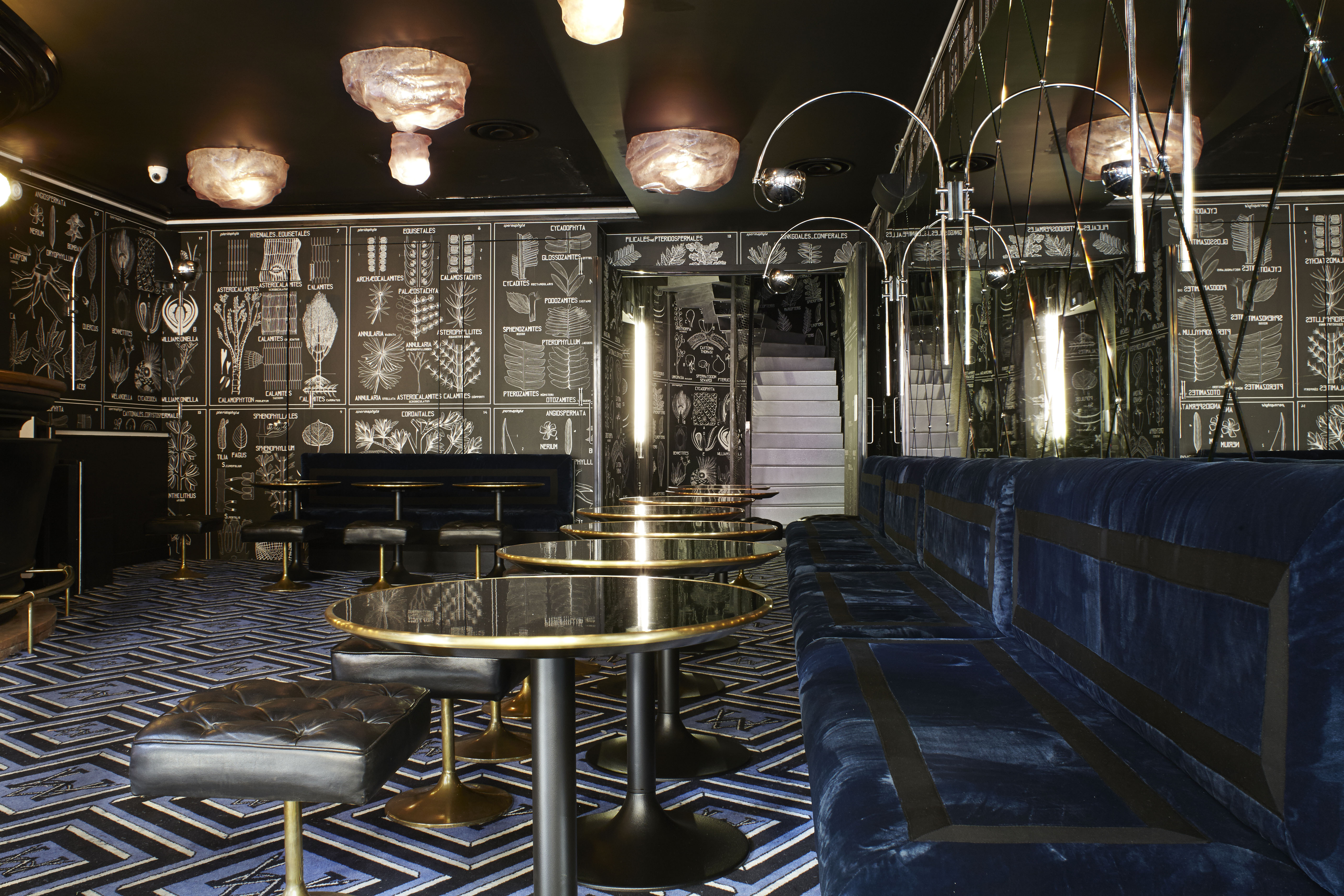 Chic αναβίωση-4