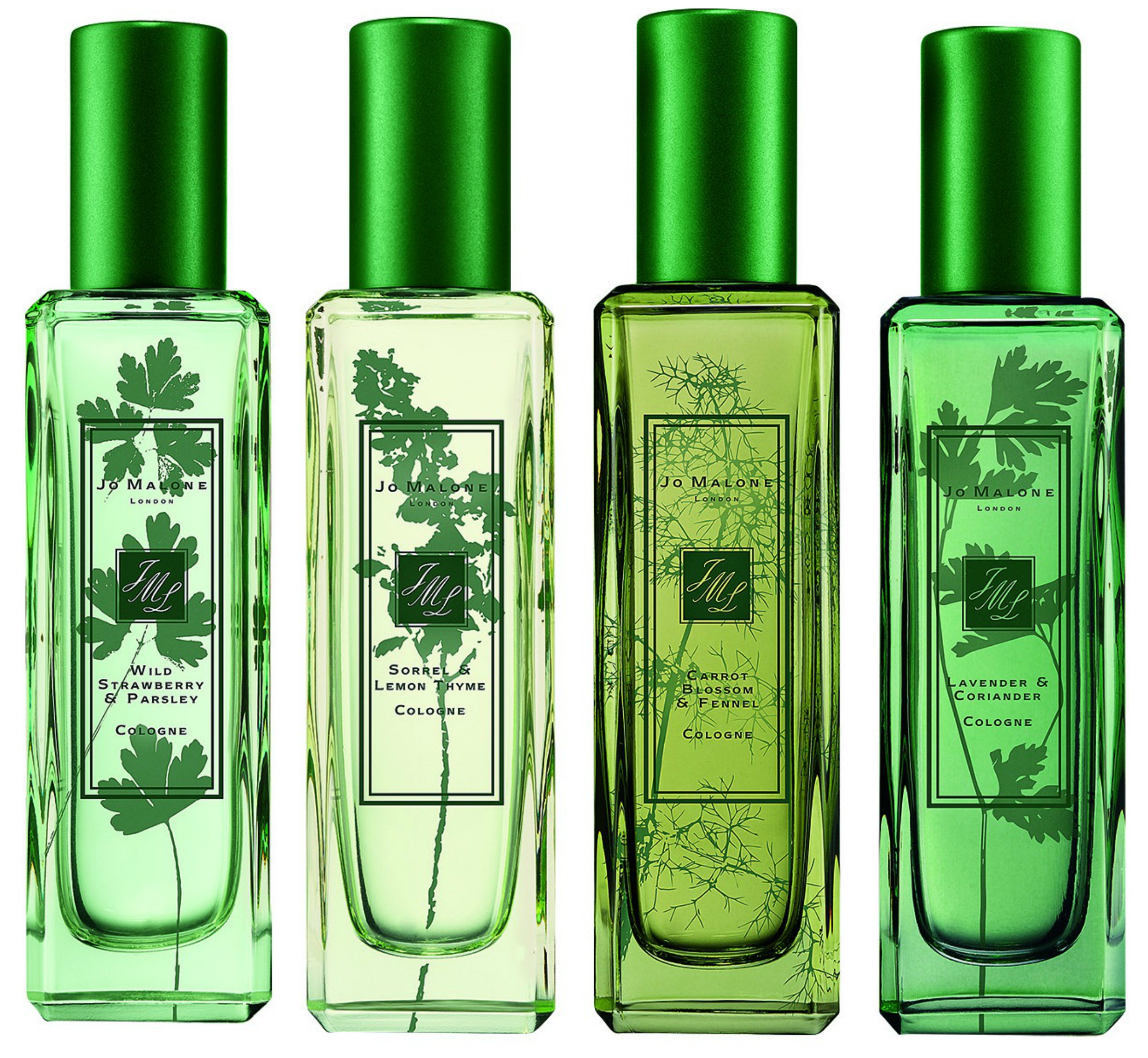 Editor’s Choice: Αρώματα-2