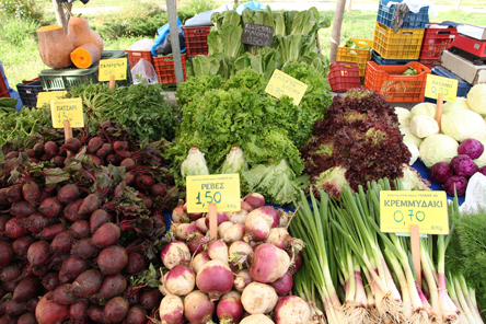 Θανάσης Τζαβάρας: Υπαίθρια και βιολογικά-1