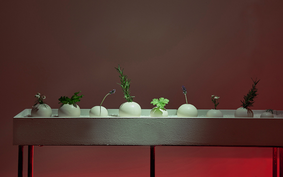 Di Kirios Criton: Mια έκθεση και ένα βιβλίο-3