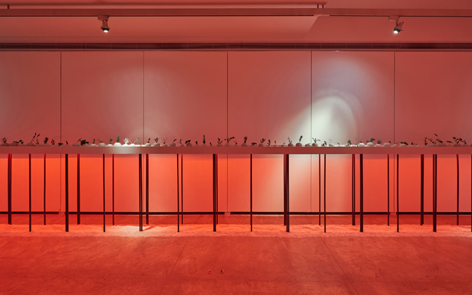 Di Kirios Criton: Mια έκθεση και ένα βιβλίο-1