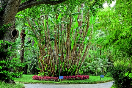 Perfect Match: Tόποι που εμπνέουν δημιουργικούς ανθρώπους-5