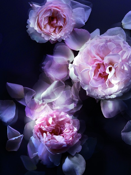 Editor’s choice: Αρώματα-3