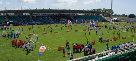«Κάτι καλύτερο ξεκινάει εδώ» από τον ΟΠΑΠ-6