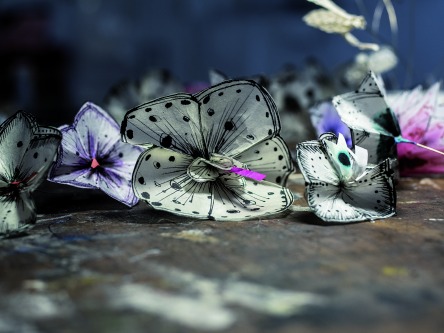 Το άνθος του καλού-2