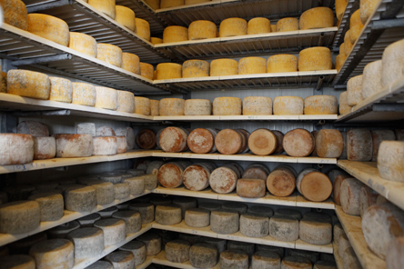 Τυροκομείο Μπαμπούνη στη Νάξο-1