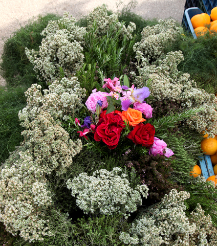 Γιώργος Τσιακούλιας: Τα αυτοφυή βότανα του αρχιτέκτονα-1