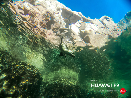 Huawei Ρ9, Ρ9 lite και Ρ9 Plus: Ενα «τρίδυμο» επιτυχίας στο χώρο των smartphones-2