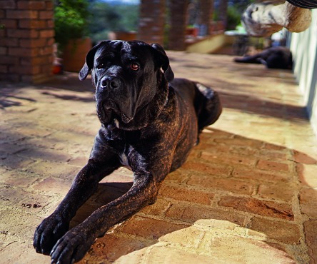 Τα φτερά του μύθου-3