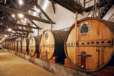 Πόρτο: Ξαφνικός έρωτας-1