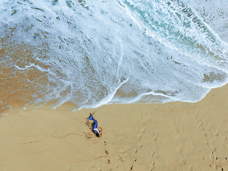 Μαρίνα Βερνίκου, Φωτογράφος-1