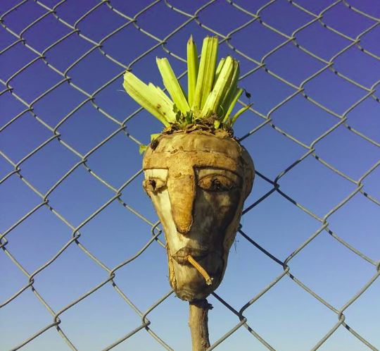 Αγανάκτηση για ρατσιστικά σχόλια Ούγγρου ευρωβουλευτή-1