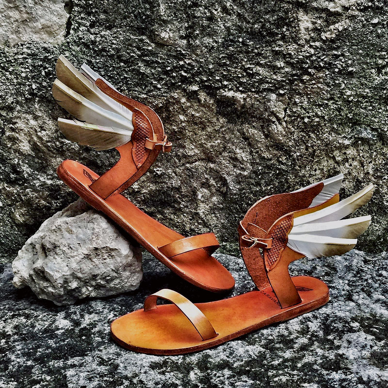 Είναι όλα τους υπέροχα… (και ελληνικά!)-9