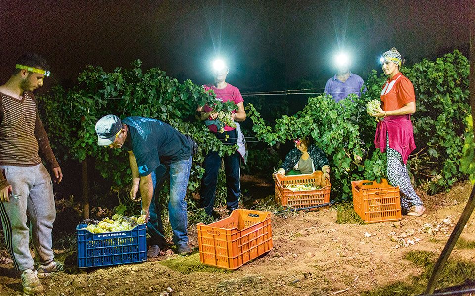 Οινοτουρισμός-3