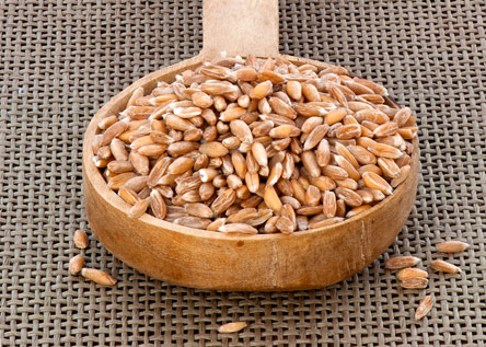 Αφιέρωμα: Ψωμιά για κάθε μέρα-2