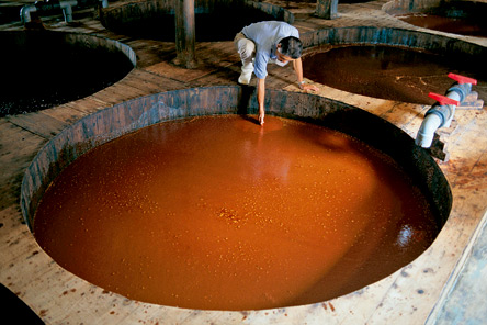 Σάλτσα σόγιας: Από  την Ασία με αλάτι-1