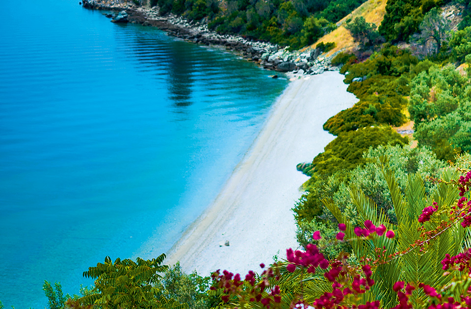 Πάνος Παλαιολόγος, πρόεδρος και ιδρυτής της HotelBrain-1