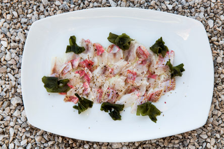 Καβουρόπετρα: σεβίτσε καλύτερο απ’ της Αθήνας-1