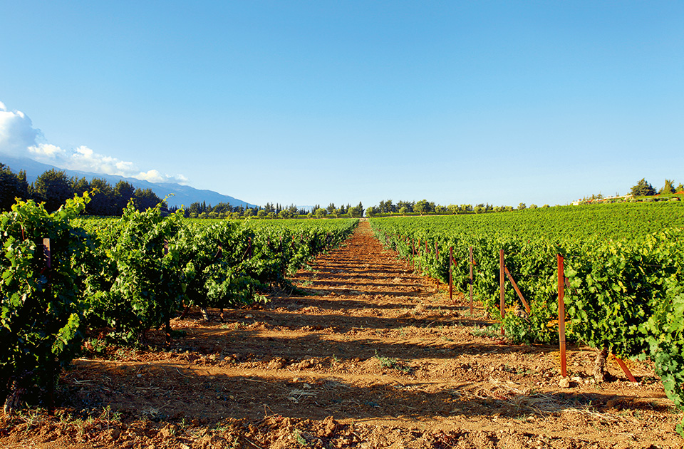 Βηρυτός: Η μεγάλη επιστροφή-1