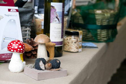 Ενα κατάστημα γεμάτο μανιτάρια!-1