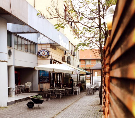 Τα μπακαλιαράκια του Αρίστου-1