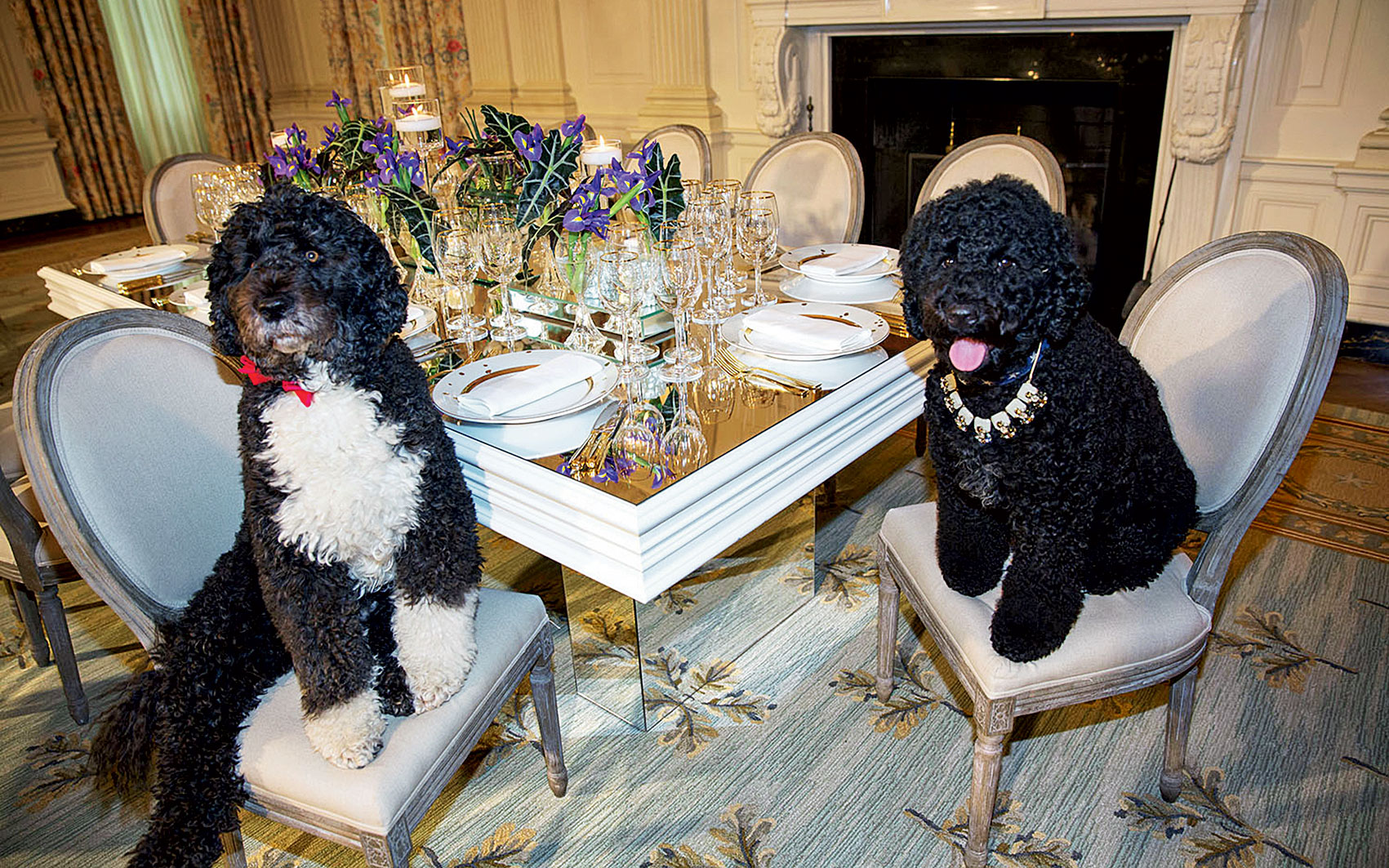 Μπαράκ Ομπάμα: Από το Α έως το Ω-3