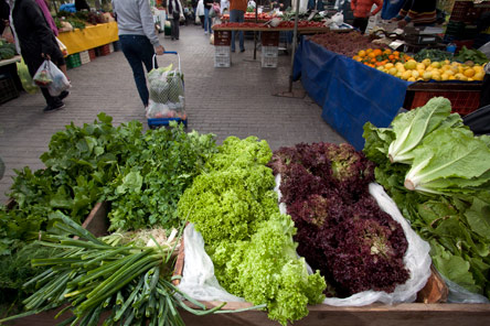 Εδώ τα καλά ρομανέσκο-2