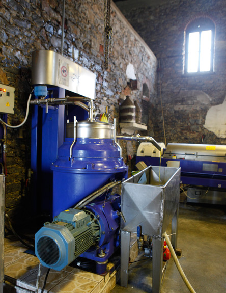 Μυτιληνιό ελαιόλαδο, ξανθό ελαφρύ και αρωματικό-2