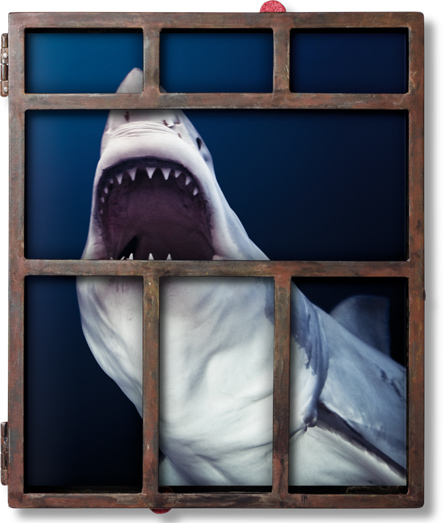 IWC Aquatimer Chronograph Edition “Sharks”-5