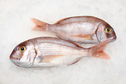 9 Νόστιμα ψάρια για θεσπέσιες ψαρόσουπες-2